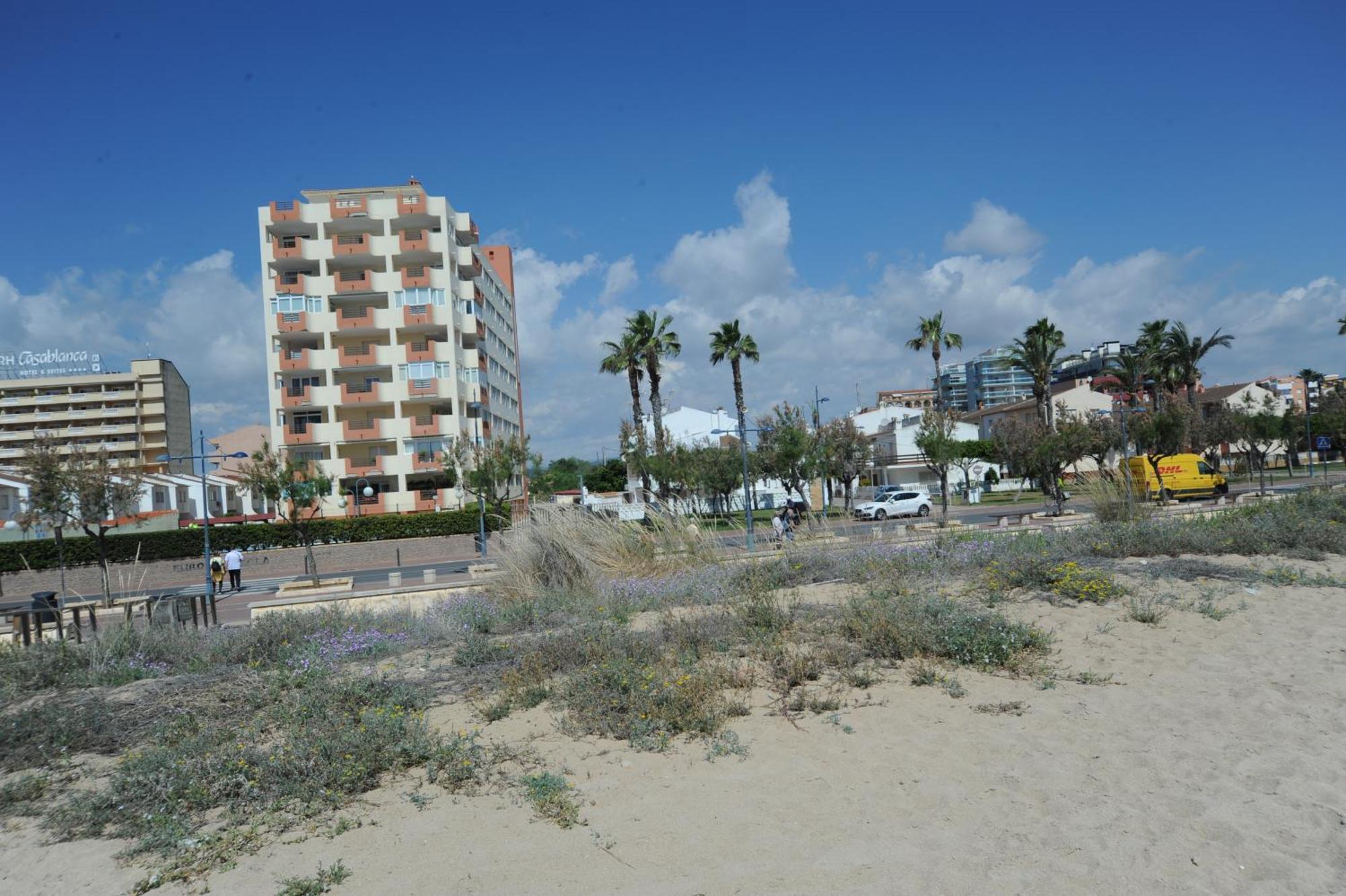 Europeniscola Superior Orangecosta Apartman Kültér fotó